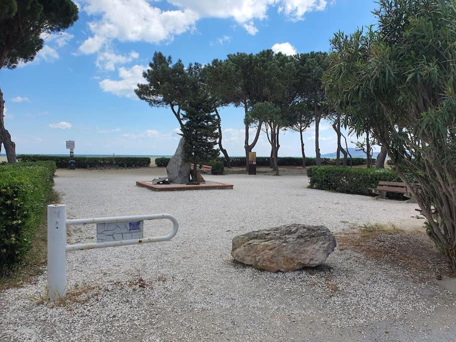 Caravelle T1 Lumineux Au Calme A 5 Mn De La Apartment Argeles-sur-Mer