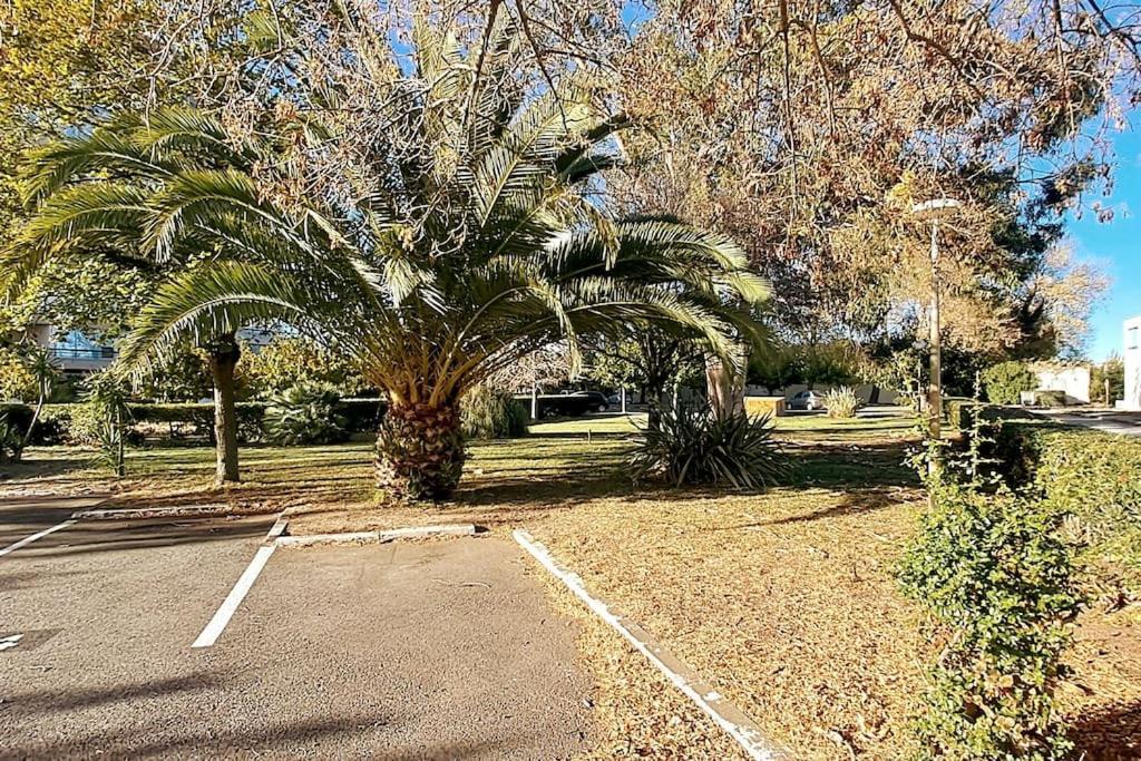 Caravelle T1 Lumineux Au Calme A 5 Mn De La Apartment Argeles-sur-Mer